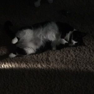 Meet your Posher, Chloe